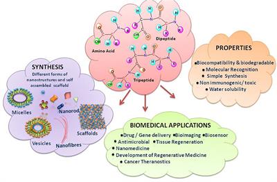 Ultrashort Peptide Self-Assembly: Front-Runners to Transport Drug and Gene Cargos